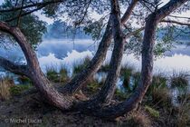 Maasduinen Landschap  DSC9001-HDR