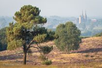 Mookerheide Landschap  DSC2171