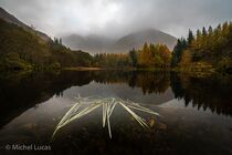 Schotland Glencoe Landschap DSC4805