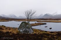 Schotland Glencoe Landschap DSC7495-Pano