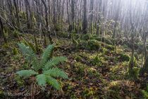 Schotland Glencoe Landschap DSC7596