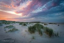 Texel Landschap DSC0290