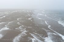 Texel Landschap DSC0551