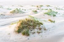 Texel Landschap DSC9558