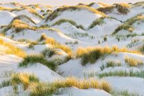 Texel Landschap DSC9692