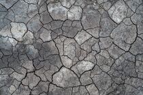 Texel Landschap DSC9762