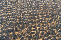 Texel Landschap DSC9881