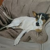 "Milly" - Oil Painting