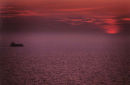 Sailors Delight