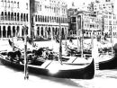 The Grand Canal - Venice