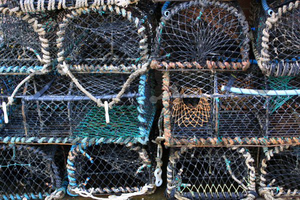 Lobster Pots