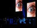 The Who (Who Are You?)