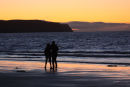 Evening Stroll
