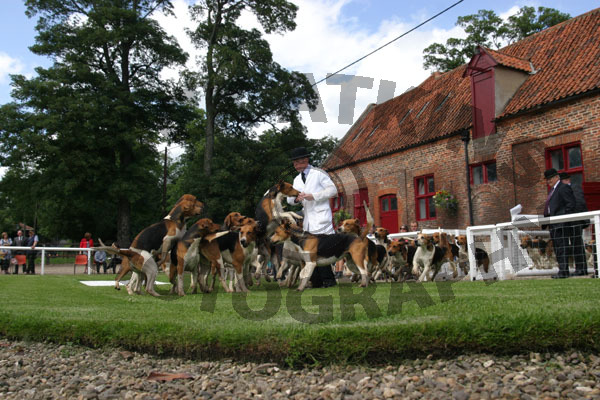 Holderness Puppy Show