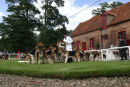 Holderness Puppy Show