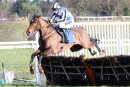 Bertie Moon - RACE 1 (7)