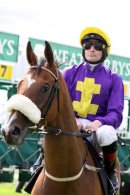 Pale Mimosa - RACE 2 (6)