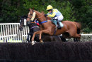 Miss Sunflower - RACE 4 (23)