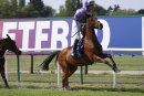 Kayfton Pete & Adam Pogson (2)