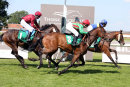 Race 0 - Charity Race (10)001