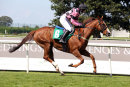 Race 0 - Charity Race (12)003