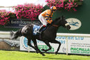 Race 0 - Midnite Bride (3)