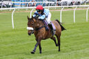 Race 0 - Pony 1 (3)