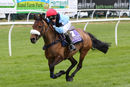 Race 0 - Pony 1 (4)