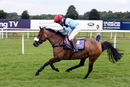Race 0 - Pony 1 (5)