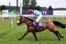 Race 0 - Pony 1 (6)