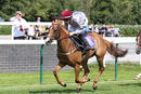 Race 0 - Pony 1 Little Anne (2)