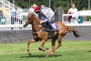 Race 0 - Pony 1 Little Anne (3)