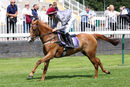 Race 0 - Pony 1 Little Anne (4)