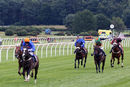 Race 0 - Pony 2 (2)