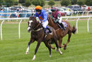 Race 0 - Pony 2 (3)