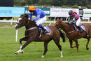 Race 0 - Pony 2 (4)