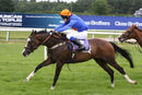 Race 0 - Pony 2 (5)