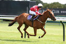 Race 0 - Pony 2 Class Act Annie (3)