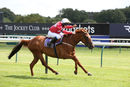Race 0 - Pony 2 Class Act Annie (4)