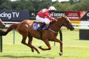 Race 0 - Pony 2 Class Act Annie (5)