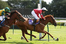 Race 0 - Pony 2 Class Act Annie (6)