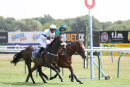 Race 0 - Pony Club N180720 (12)