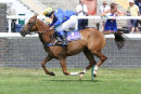 Race 0 - Pony Club N180720 (9)
