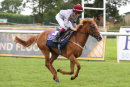 Race 0 - Pony Racing 180820 (2)