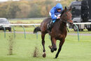 Race 1 - Adayar (10)