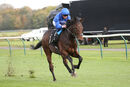 Race 1 - Adayar (11)