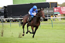 Race 1 - Adayar (13)
