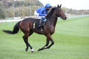 Race 1 - Adayar (2)