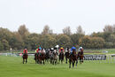 Race 1 - Adayar (3)