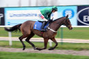 Race 1 - Adjali (2)